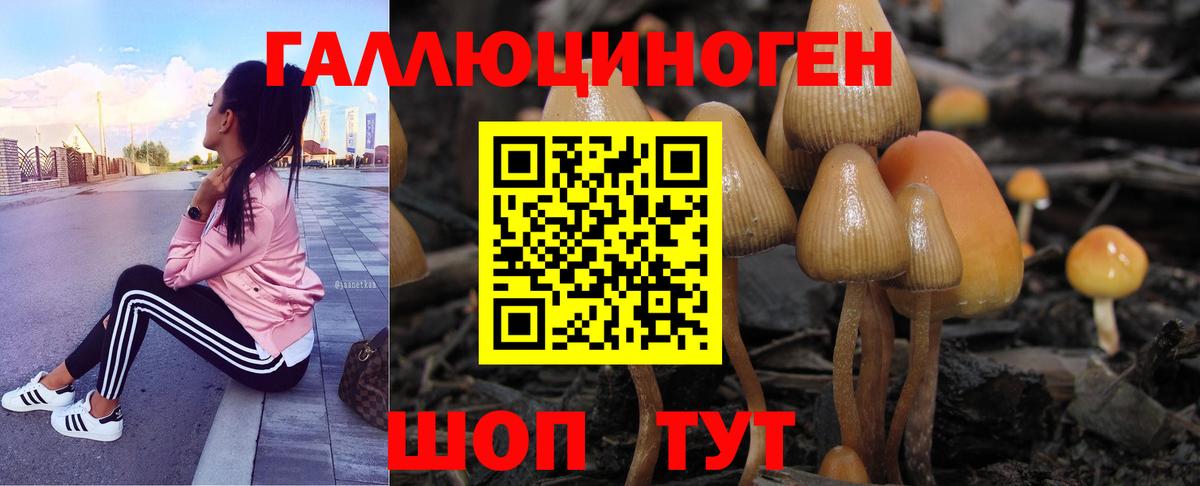 Галлюциногенные грибы прущие грибы  Вход с VPN  Донской 